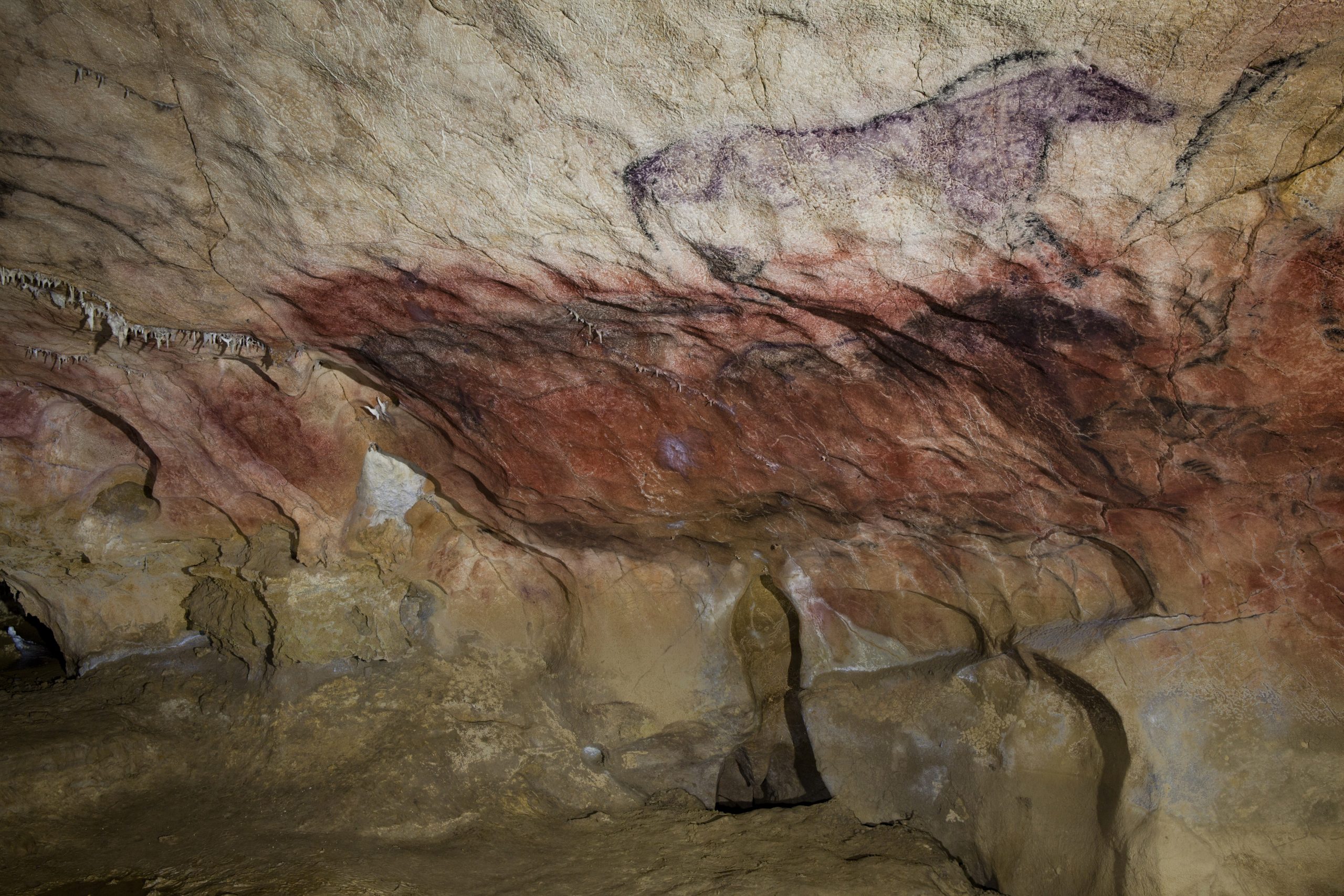 Cueva de Tito Bustillo